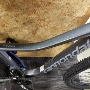 2019 Cannondale Tango Silver, gray or bare metal and Purple