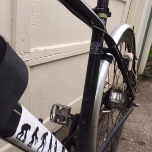 raleigh cadent tandem