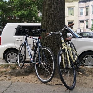 2020 Bianchi Torino Dama Yellow or Gold