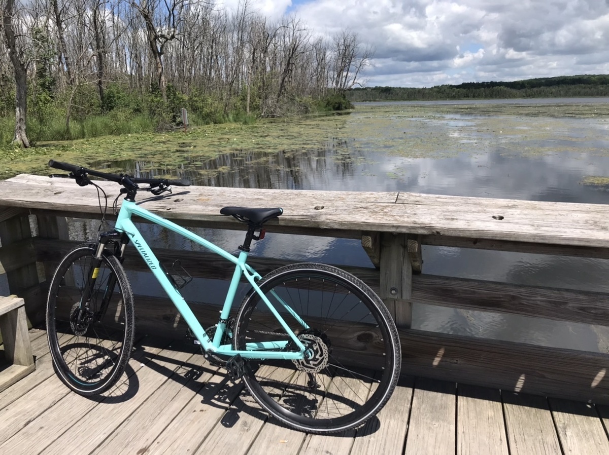 Bike photo
