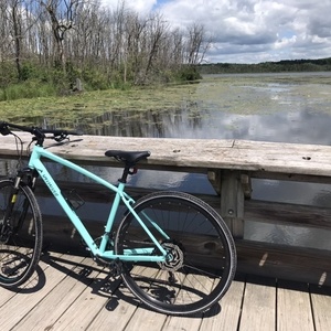 2020 Specialized Ariel Sport Teal