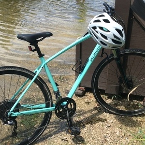 2020 Specialized Ariel Sport Teal