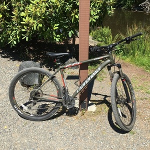 2015 Cannondale Trail 3 Green, Red, and Silver, gray or bare metal