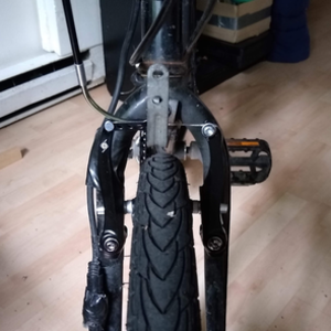 Trek Black