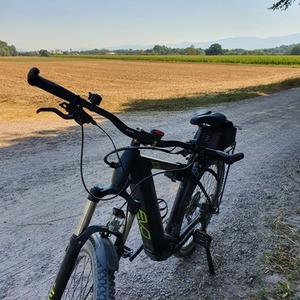 2020 BULLS Bikes Copperhead EVO 2 Street XXL Silver, gray or bare metal