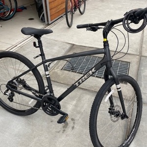 2020 Trek City Trekking L Silver, gray or bare metal