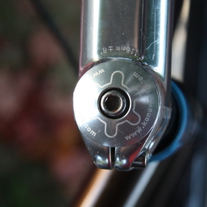 2010 Kona Sutra Brown