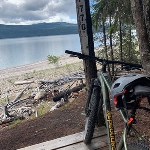2020 Cannondale Cujo 2 Green