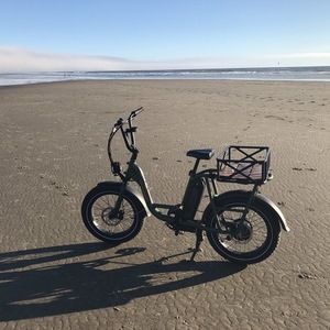 2019 Rad Power Bikes RADRUNNER1 Green