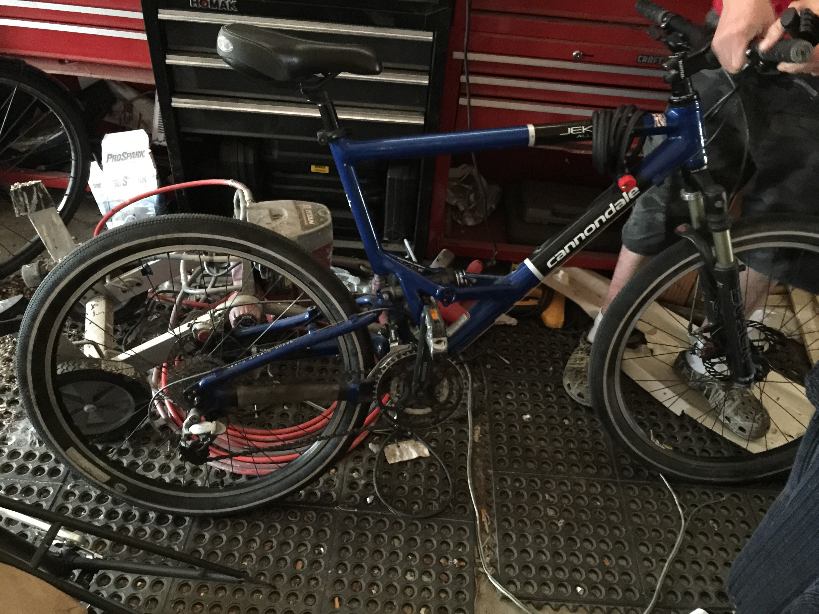 newport cruiser bike