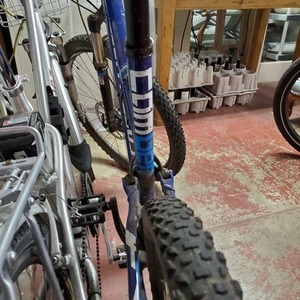 2015 Specialized StumpJumper Blue