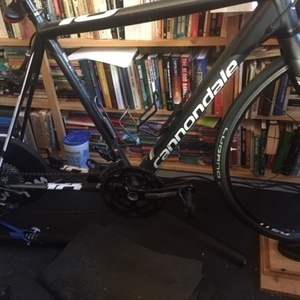 2015 Cannondale CAAD 10 Road Endurance Black and White