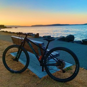 2020 Santa Cruz Chameleon Black