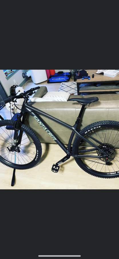 jual santa cruz chameleon