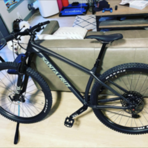 2020 Santa Cruz Chameleon Black