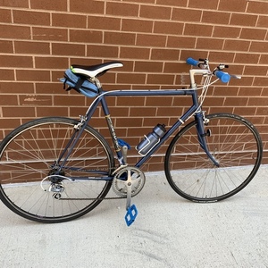 1984 Trek 700 Blue