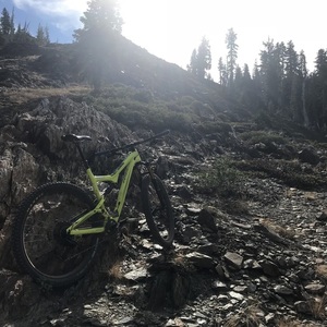 2016 Ibis Ripley LS Yellow or Gold