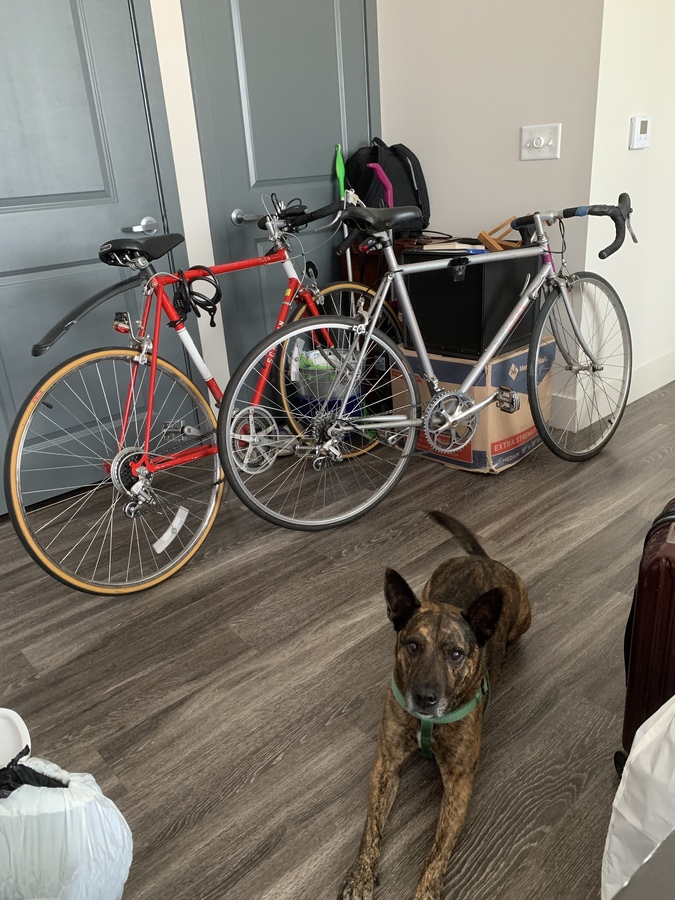 Bike photo