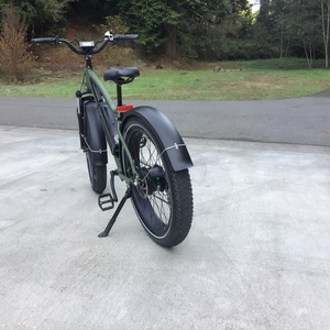 2020 Rad Power Bikes Radrover 5 Green and Black