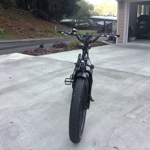 2020 Rad Power Bikes Radrover 5 Green and Black