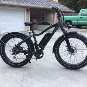 2020 Rad Power Bikes Radrover 5 Green and Black