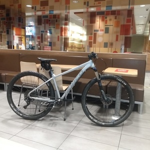 Norco Bikes Charger Silver, gray or bare metal