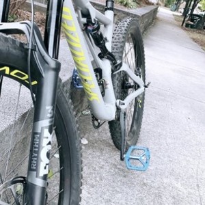 2019 Specialized StumpJumper Comp Silver, gray or bare metal