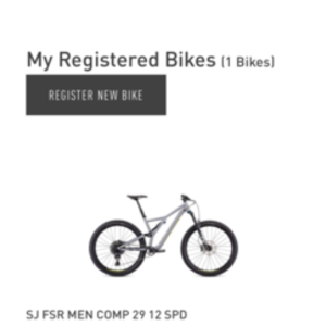 2019 Specialized StumpJumper Comp Silver, gray or bare metal