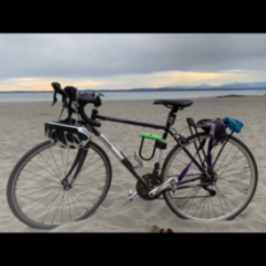 2015 Jamis Coda comp Purple