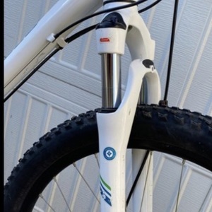 2009 Specialized Ariel White and Teal