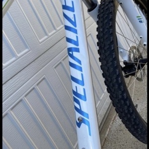 2009 Specialized Ariel White and Teal