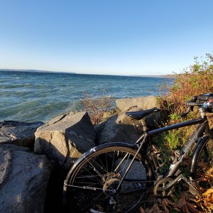 2019 Trek Checkpoint ALR 4 Black and Silver, gray or bare metal