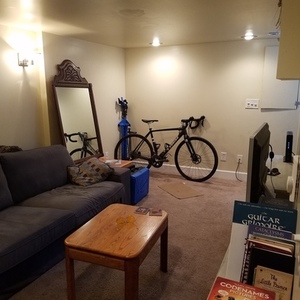 2019 Trek Checkpoint ALR 4 Black and Silver, gray or bare metal