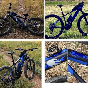 2018 Trek Powerfly 5 Black and Blue