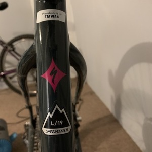 2015 Specialized Jett Expert Silver, gray or bare metal