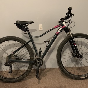 2015 Specialized Jett Expert Silver, gray or bare metal