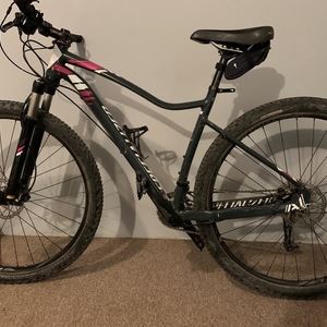 2015 Specialized Jett Expert Silver, gray or bare metal