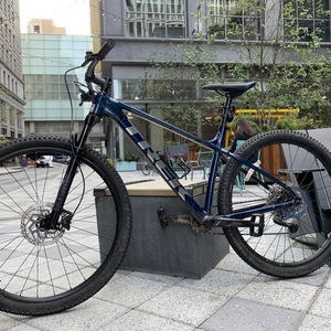2021 Trek Blue and Silver, gray or bare metal