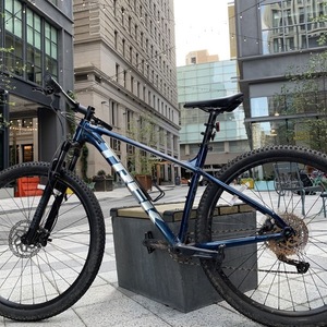 2021 Trek Blue and Silver, gray or bare metal