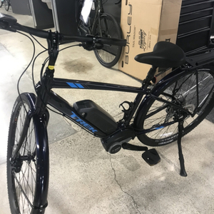 2019 Trek Verve + Blue