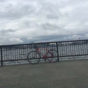 2013 Novara Small Red, Black, and Stickers tape or other cover-up