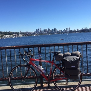 2013 Novara Small Red, Black, and Stickers tape or other cover-up