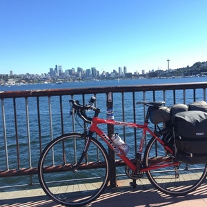 2013 Novara Small Red, Black, and Stickers tape or other cover-up