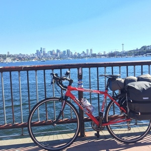 2013 Novara Small Red, Black, and Stickers tape or other cover-up