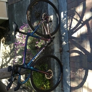 2020 Specialized Roubaix Blue, Purple, and Pink