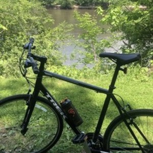 2020 Trek FX1 Black