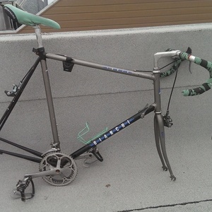 Bianchi Forza Silver or Gray