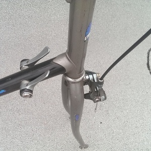 Bianchi Forza Silver or Gray