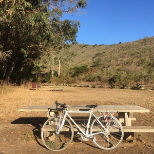 1986 Specialized sequoia