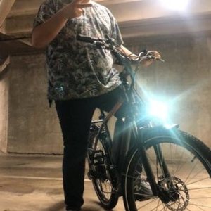 2019 Rad Power Bikes RadCity Silver, gray or bare metal
